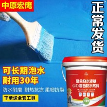 國標JS防水涂料防水膠滲水裂縫防水堵漏王衛(wèi)生間廚房內外墻堵漏膠